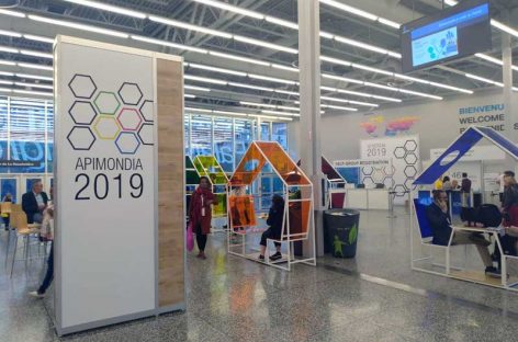 Apimondia 2019