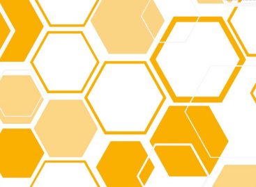Mosaico Apimondia 2019