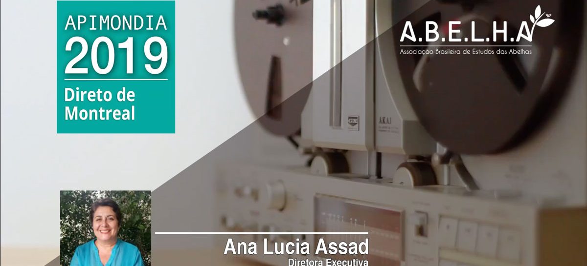 Podcast – Ana Lúcia Assad