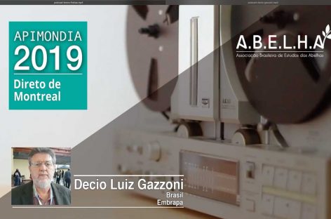 Podcast – Décio Gazzoni (2)