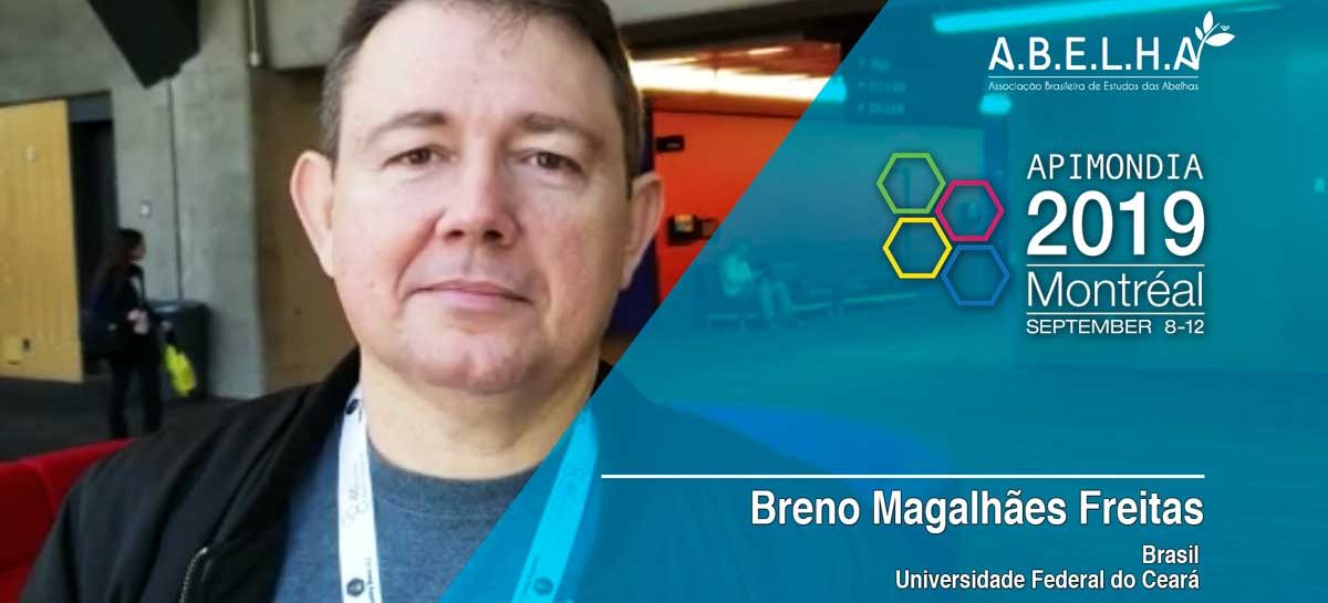 Vídeo – Breno Freitas (Brasil)