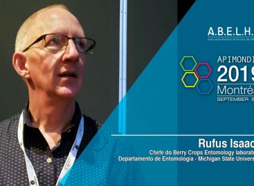 Vídeo – Rufus Isaacs (EUA)