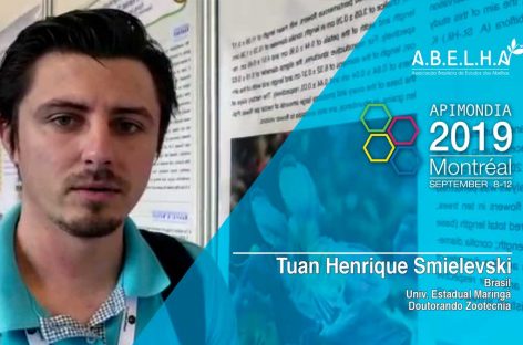 Vídeo – Tuan Henrique Smielevski (Brasil)