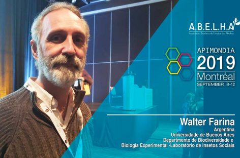 Vídeo – Walter Farina (Argentina)