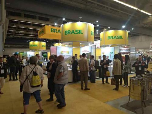 estande-brasil-apimondia-2019