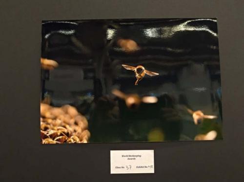 foto-premiada-concurso-fotos